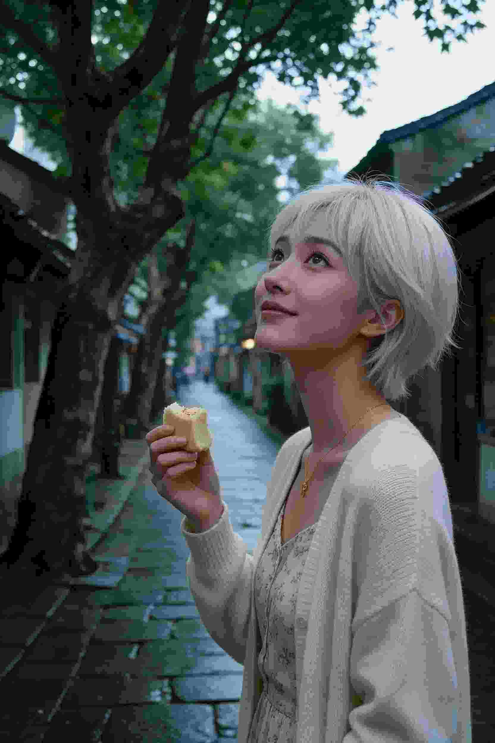 幻想之心